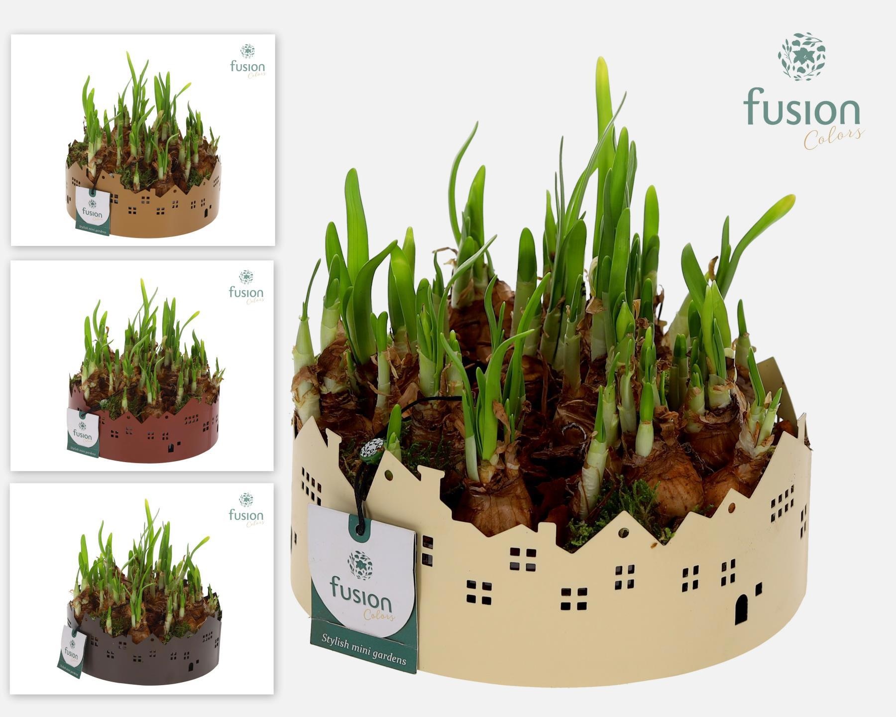 Zinken schaal Huisjes Medium met Narcis, D 19