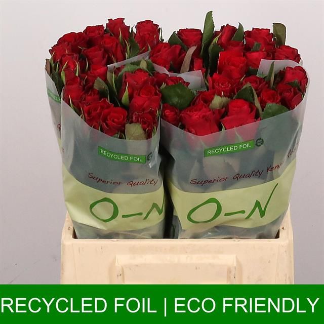 Роза од. Рэд Такази+ 40, шт.