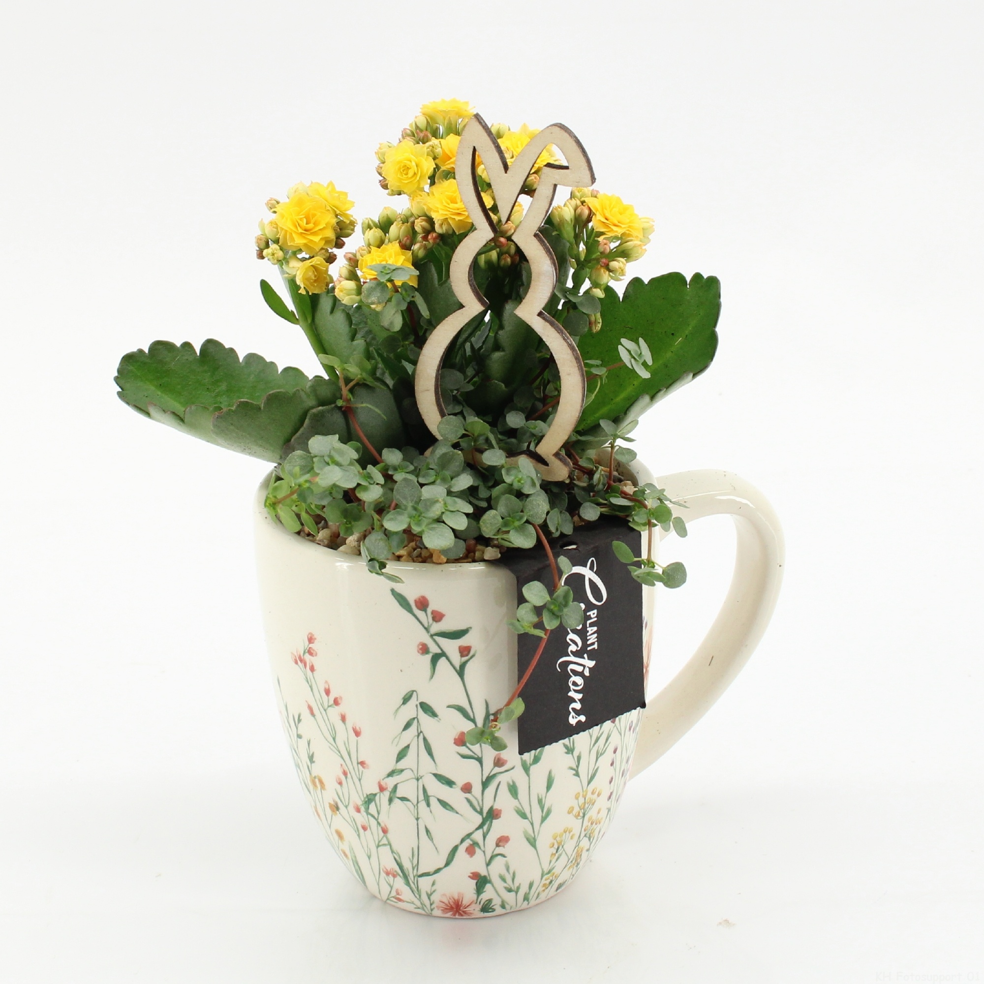 PSCR-2601G Easter Essentials, D 11