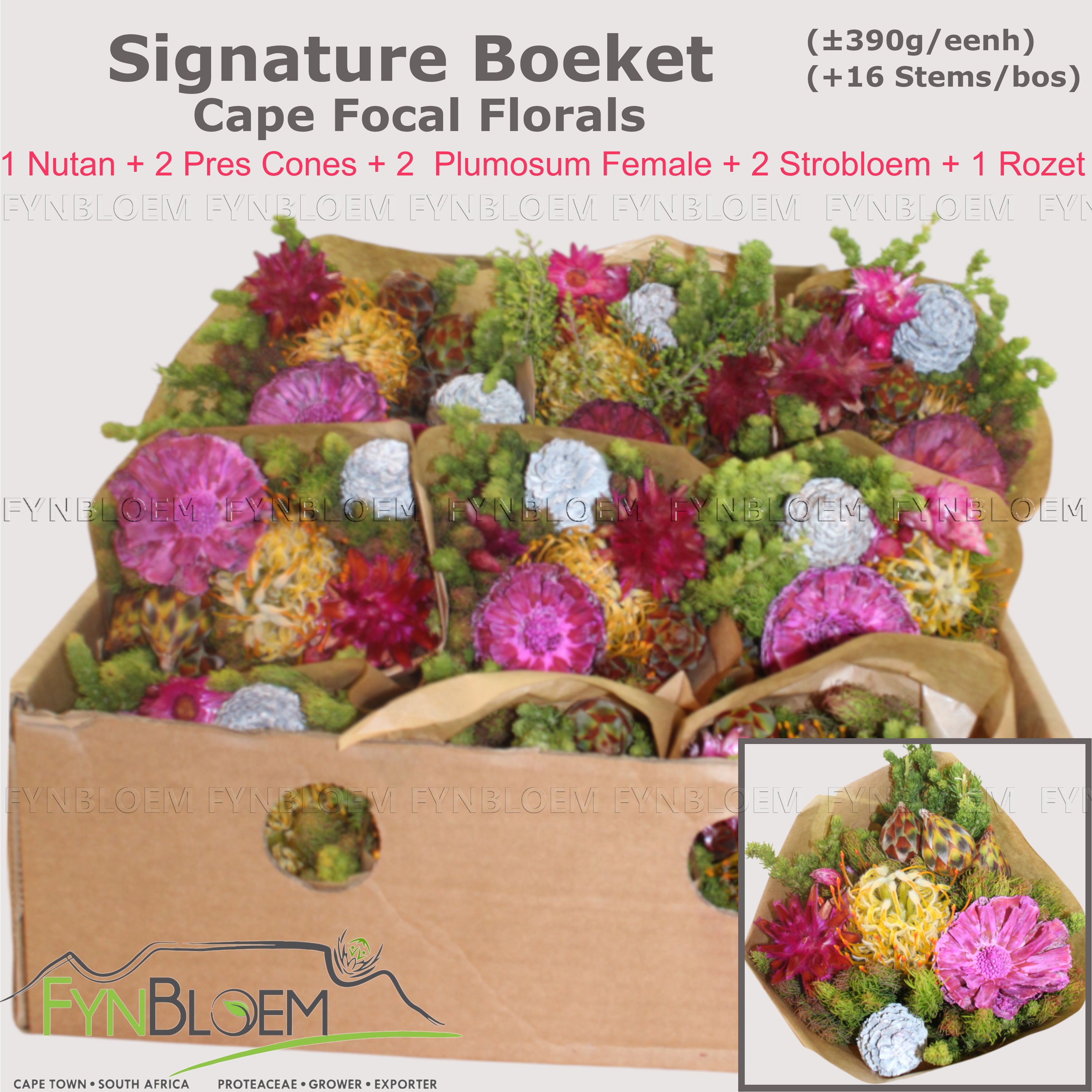 Протея Овериг за пучок 40, пуч.