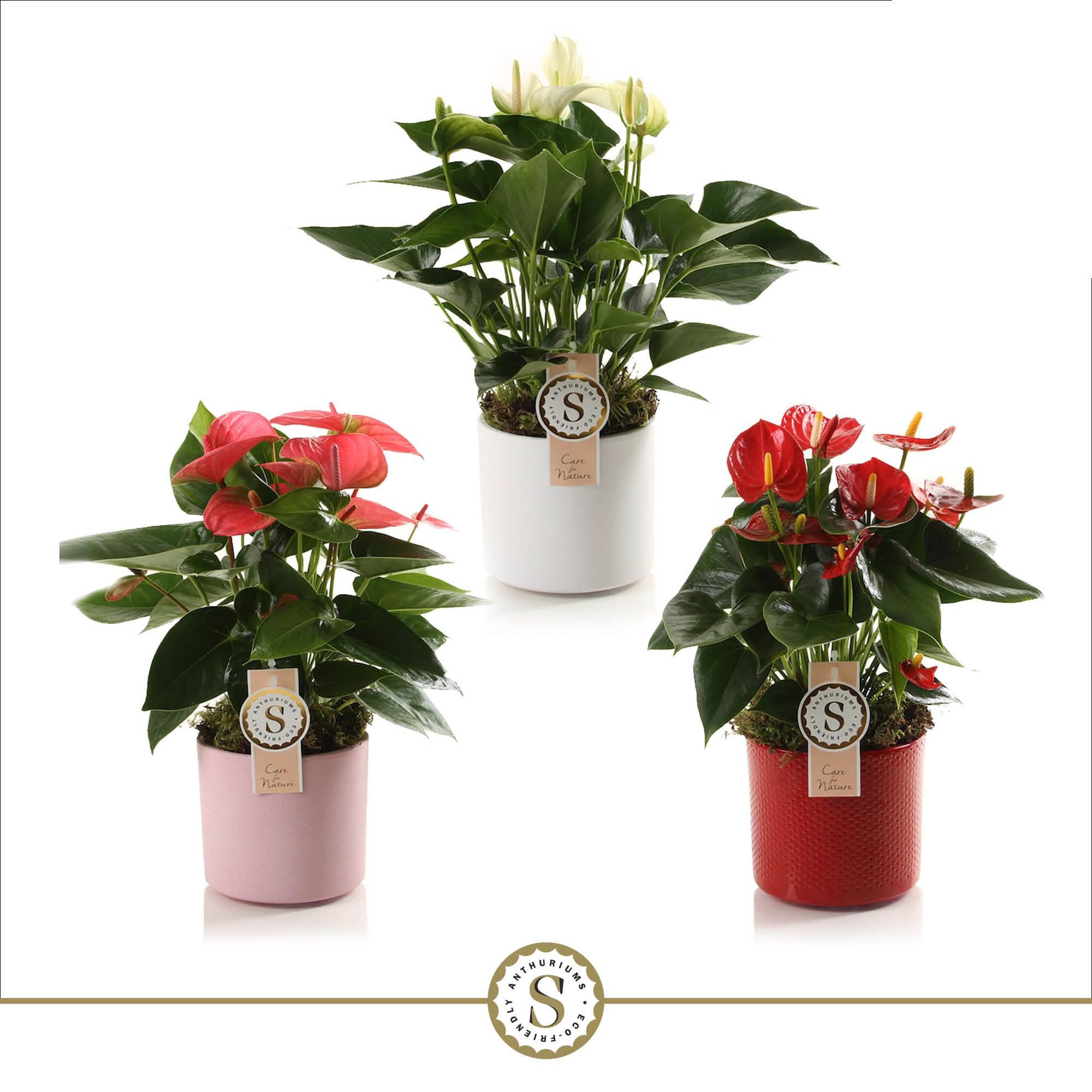 Bari Keramiek Mix, D 12