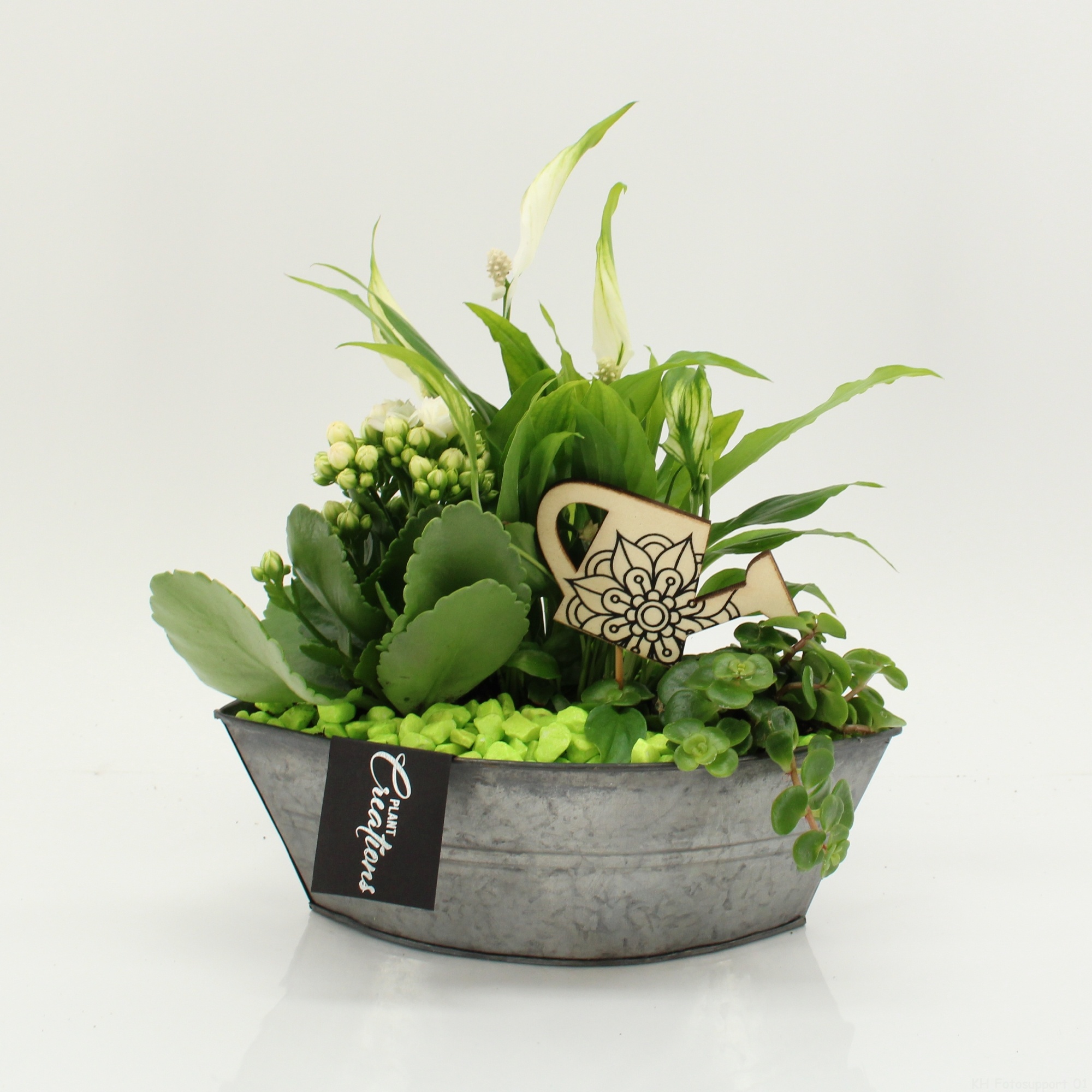 FDCR-2614GR Basic Fundamentals, D 22