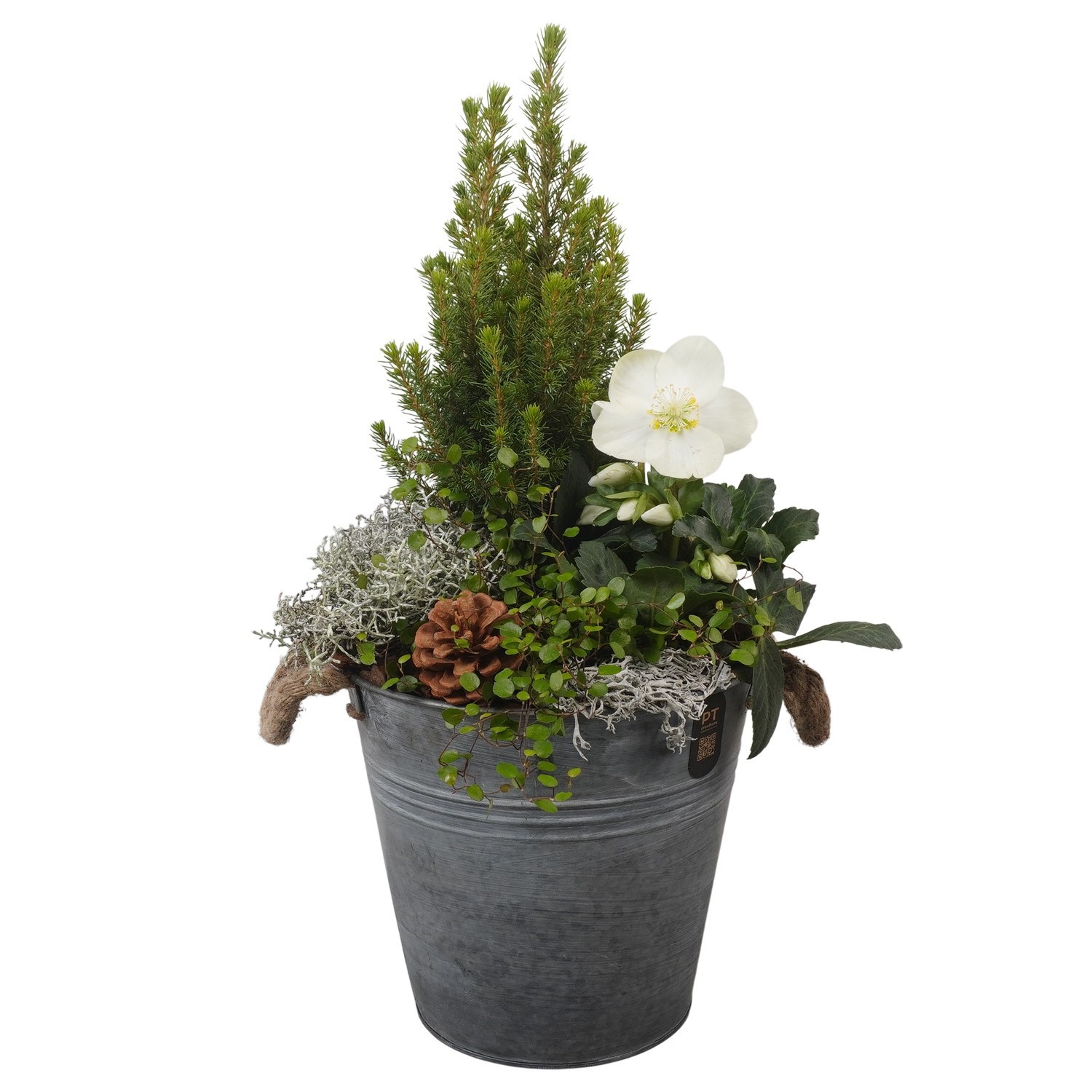 PTWO2909 Arrangement Winter Outdoor in metalen pot, D 24