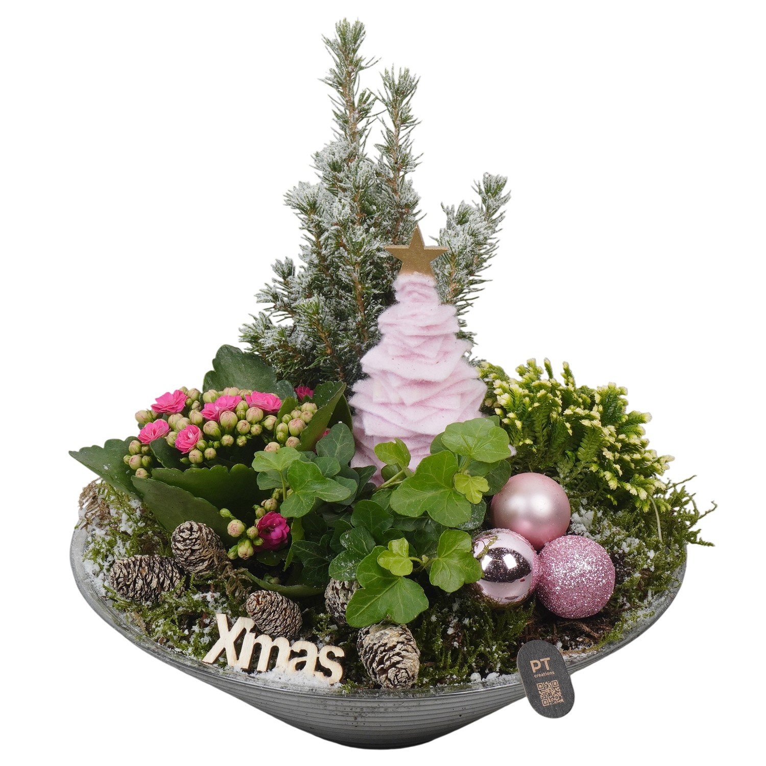 PTCHP8412 Arrangement Christmas Pink in glas schaal, D 26