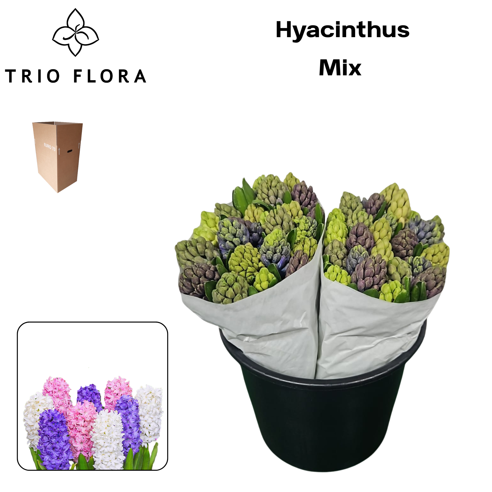 Гиацинт Микс 5 цветов, шт.