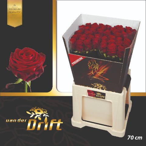 Роза од. Рэд Наоми 70, шт. Роза од. Рэд Наоми 70, шт.