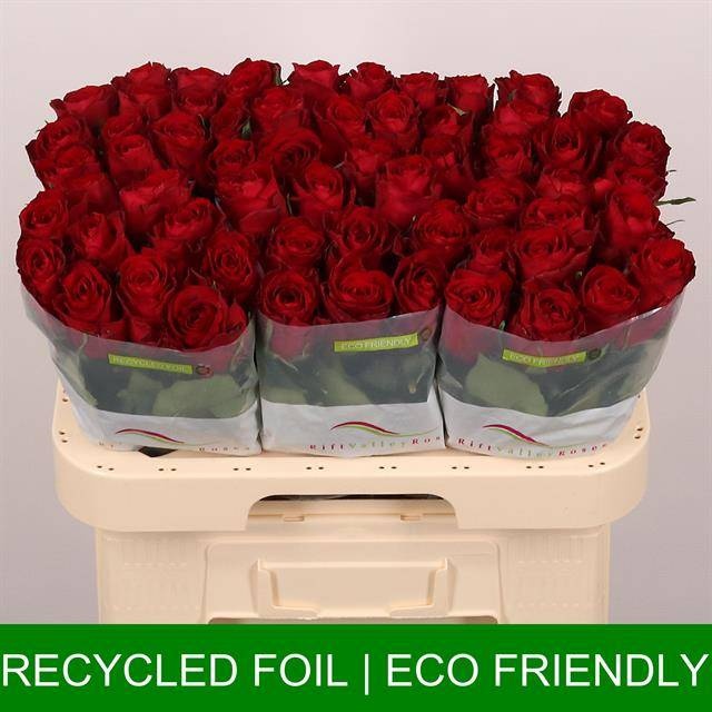 Роза од. Мадам Рэд 60, шт.