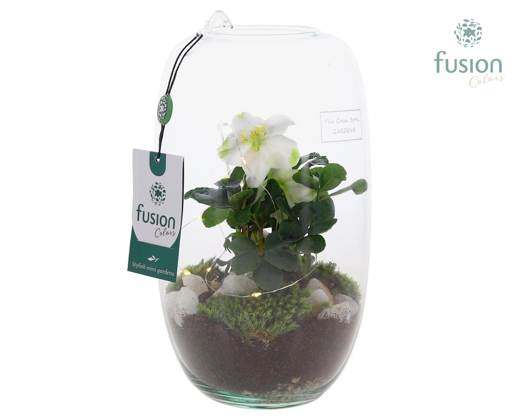 Green Bottle Isabella Medium met Helleborus, D 15 cm Green Bottle Isabella Medium met Helleborus, D 15 cm