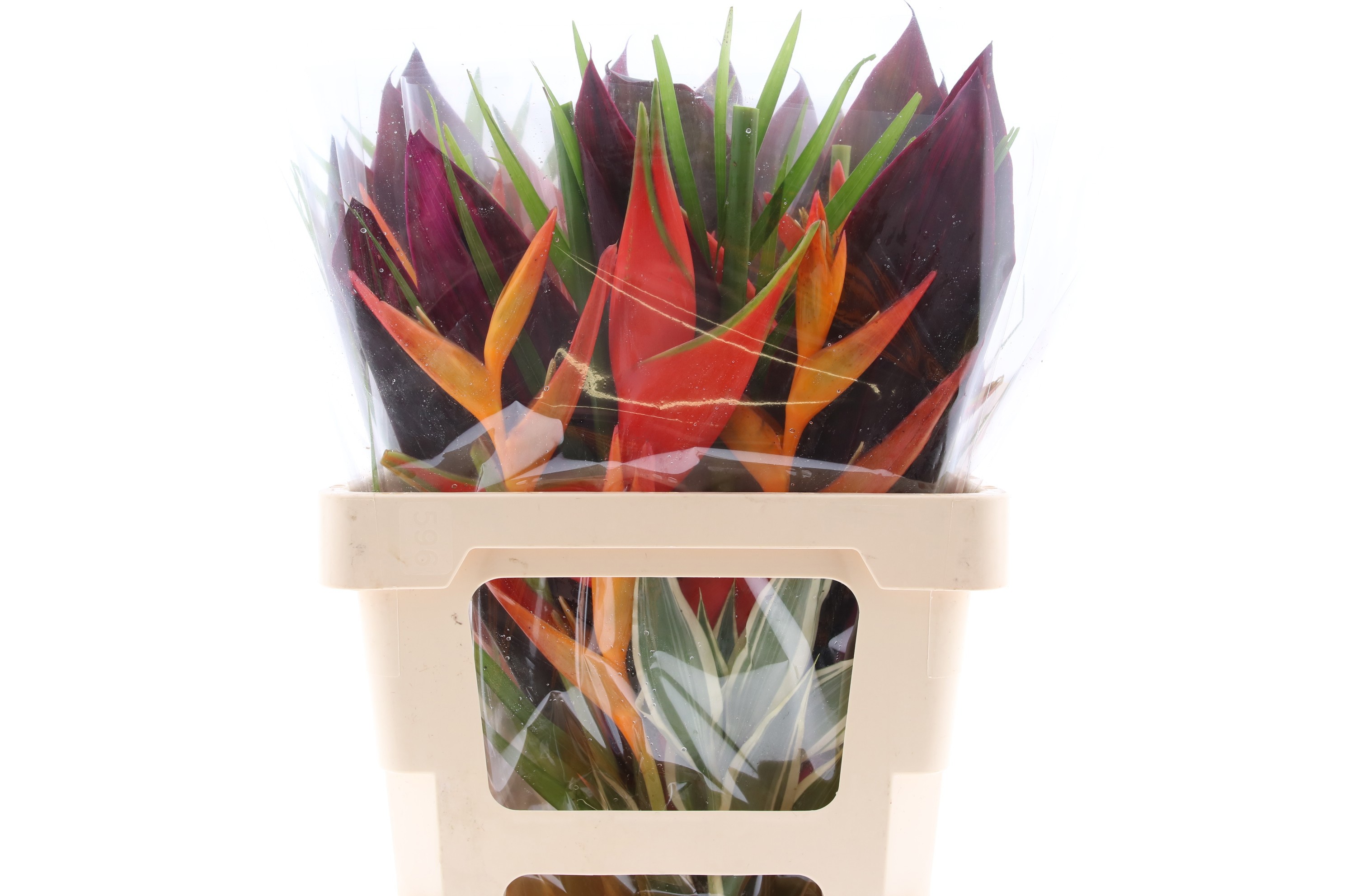 Геликония Букет, шт.