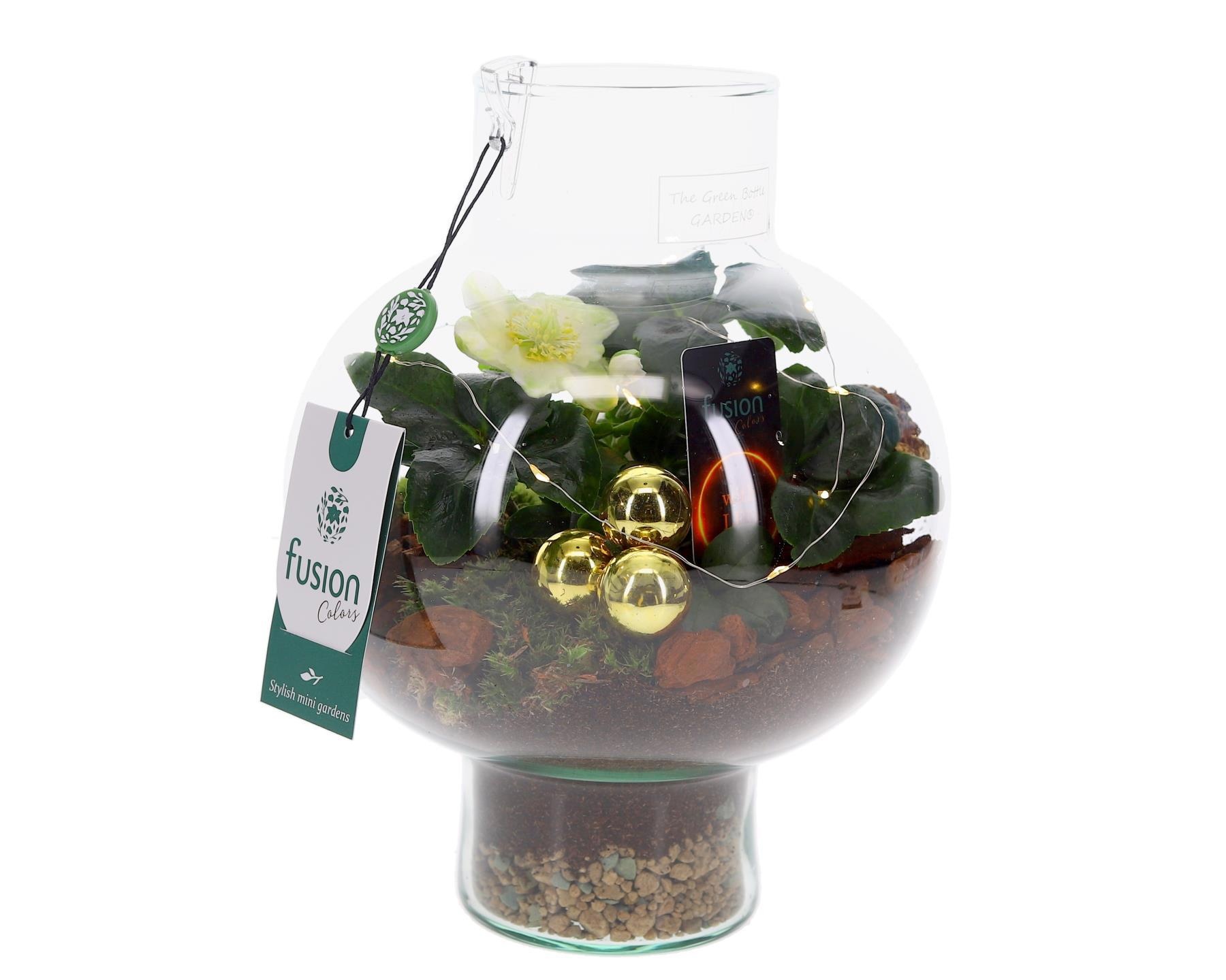Green BottleLaura Small met Kerst arrangement, D 20 cm Green BottleLaura Small met Kerst arrangement, D 20 cm