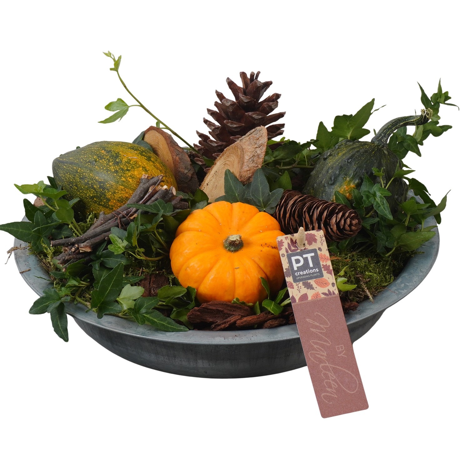 PTSF8211 Arrangement Kalebas hedera in metalen schaal, D 28 cm