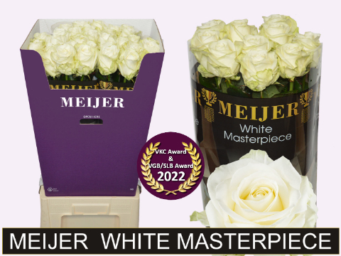 Роза од. Аваланш+ 90, шт.