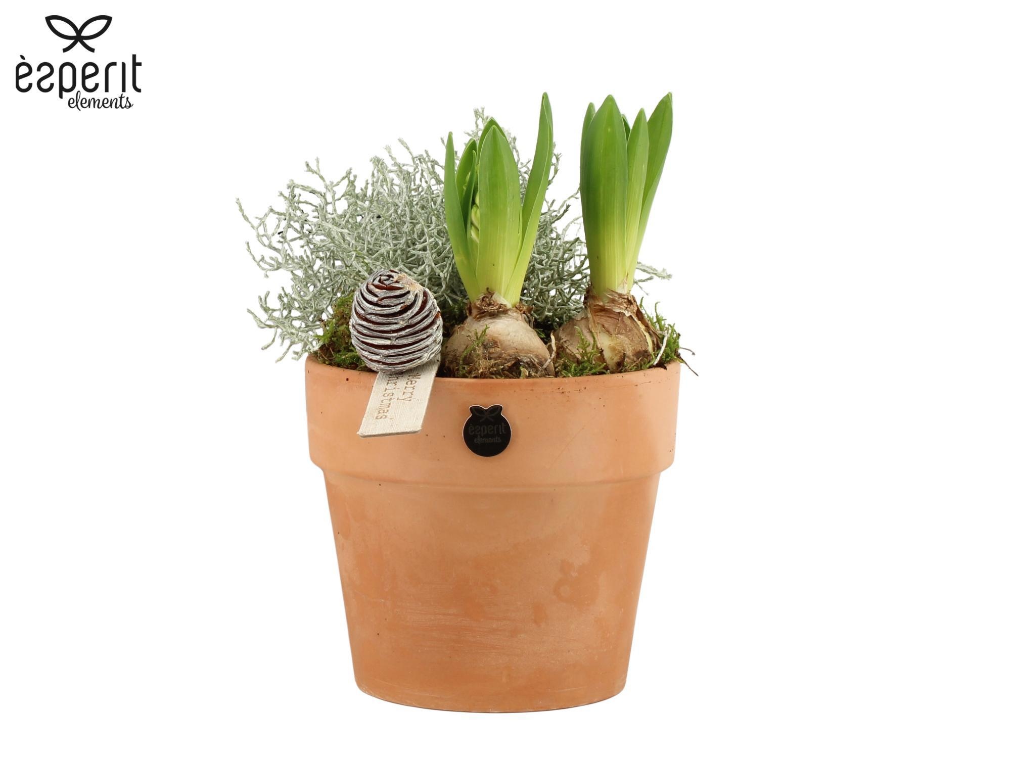 62138: X-mas outdoor arrangement, D 17