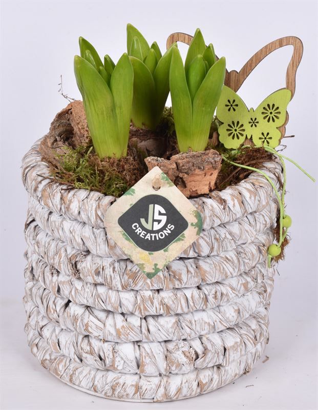 Mais mand 15.5 cm white wash, D 15