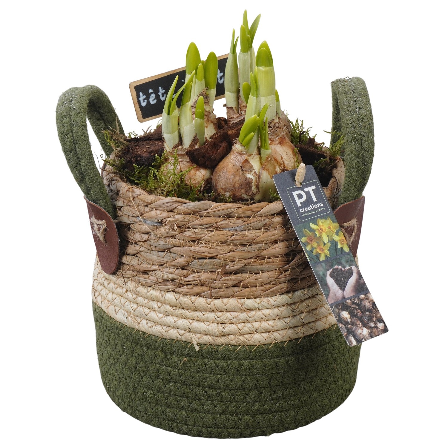 PTN8629 Arrangement Narcissus in rieten mand, D 15