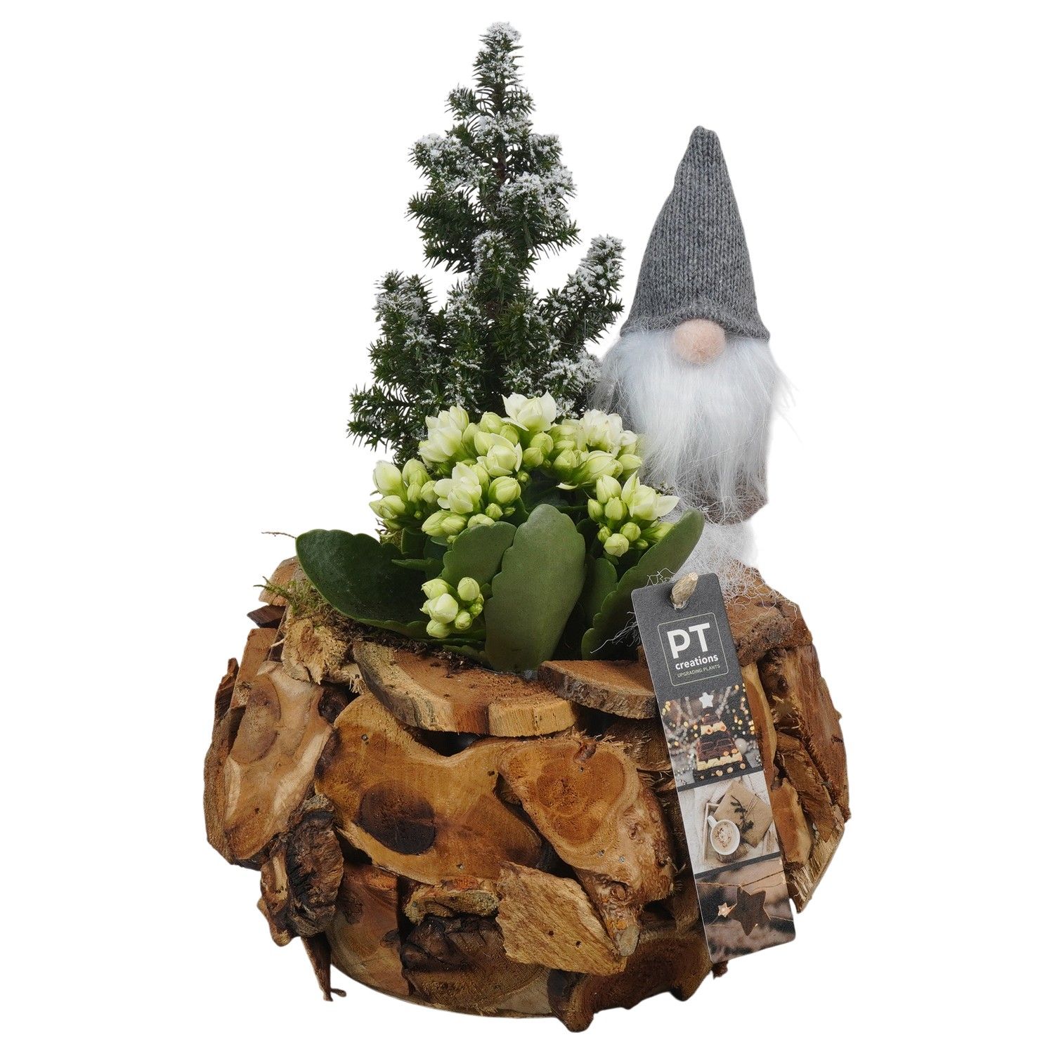 PTCHW4330 Arrangement Christmas White in houten pot, D 21 cm