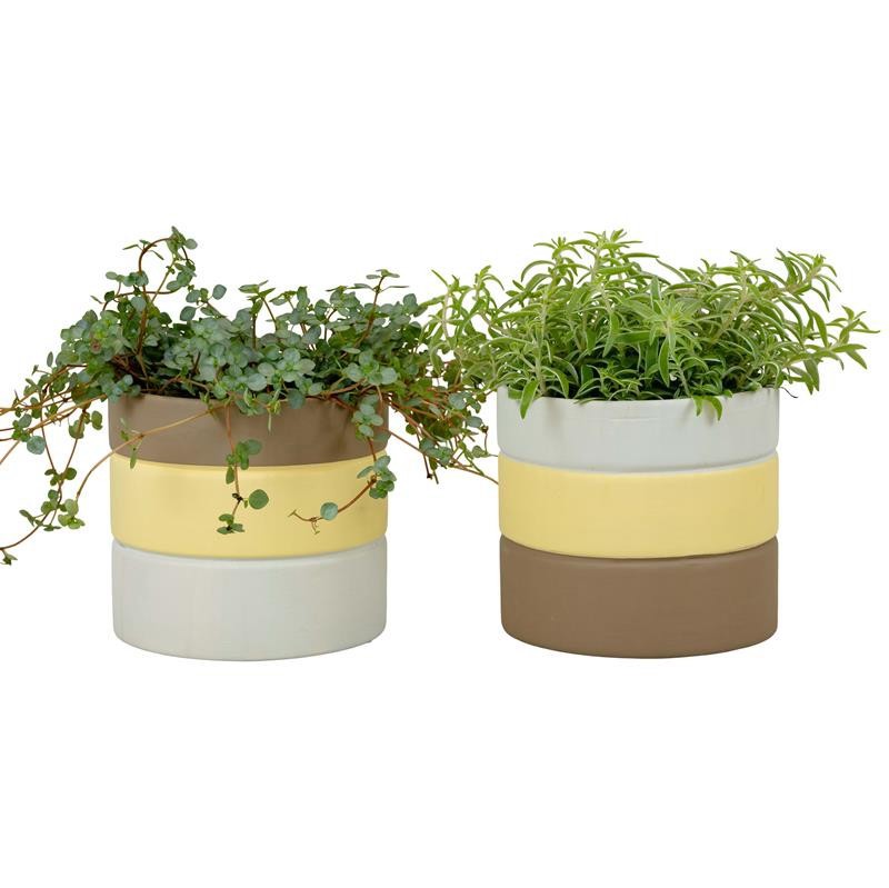 700652 Ascent EASTER CERAMIC, D 11