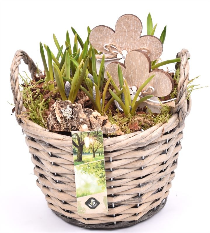 Wilg mand grijs met oor 18cm, D 19