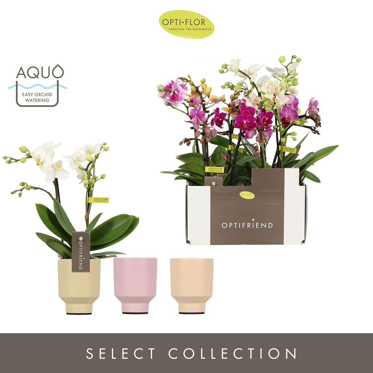 Optifriend Mix 2 spike in Emilia Mix Aquo, D 7 cm