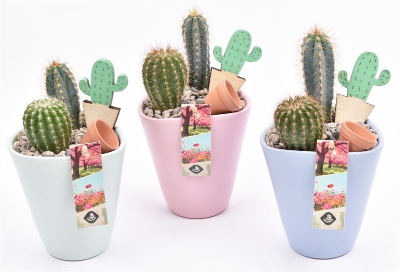 Keramiek pot kl. mix 11.5cm, D 11