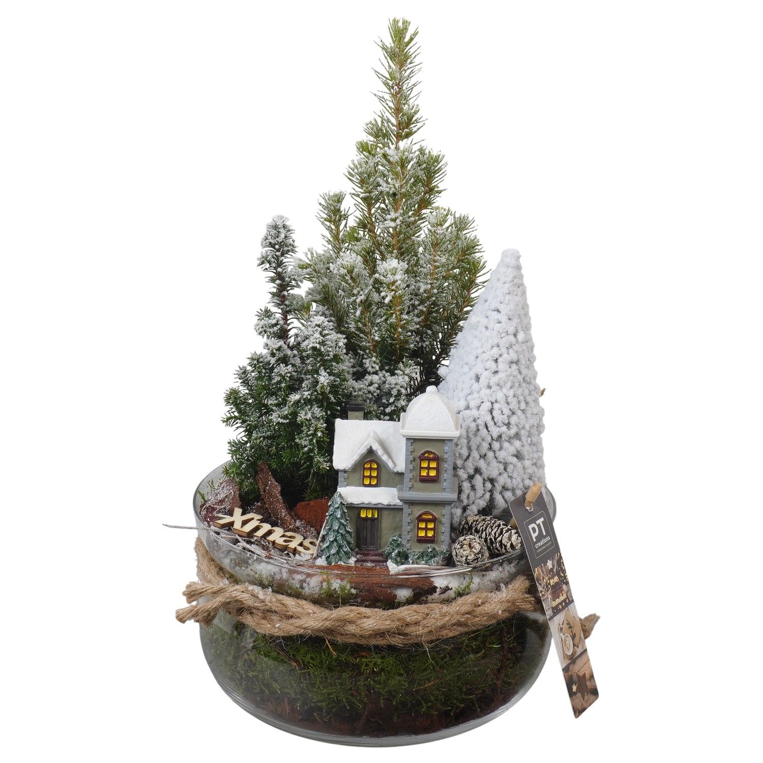PTCWW6826 Arrangement Winter in glas schaal, D 19 cm
