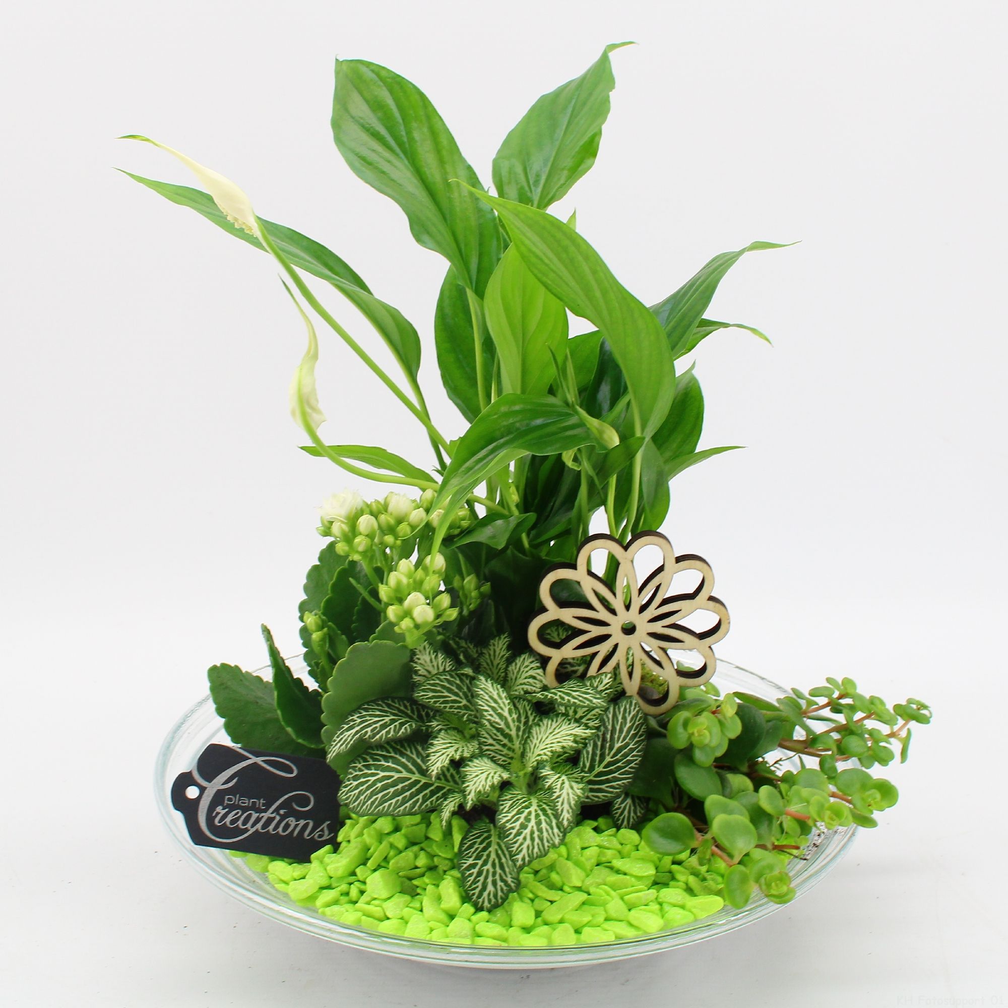 FDCR-2600GR Basic fundamentals, D 30