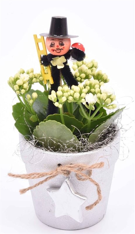 Keramiek met zilver ster 10cm, D 10