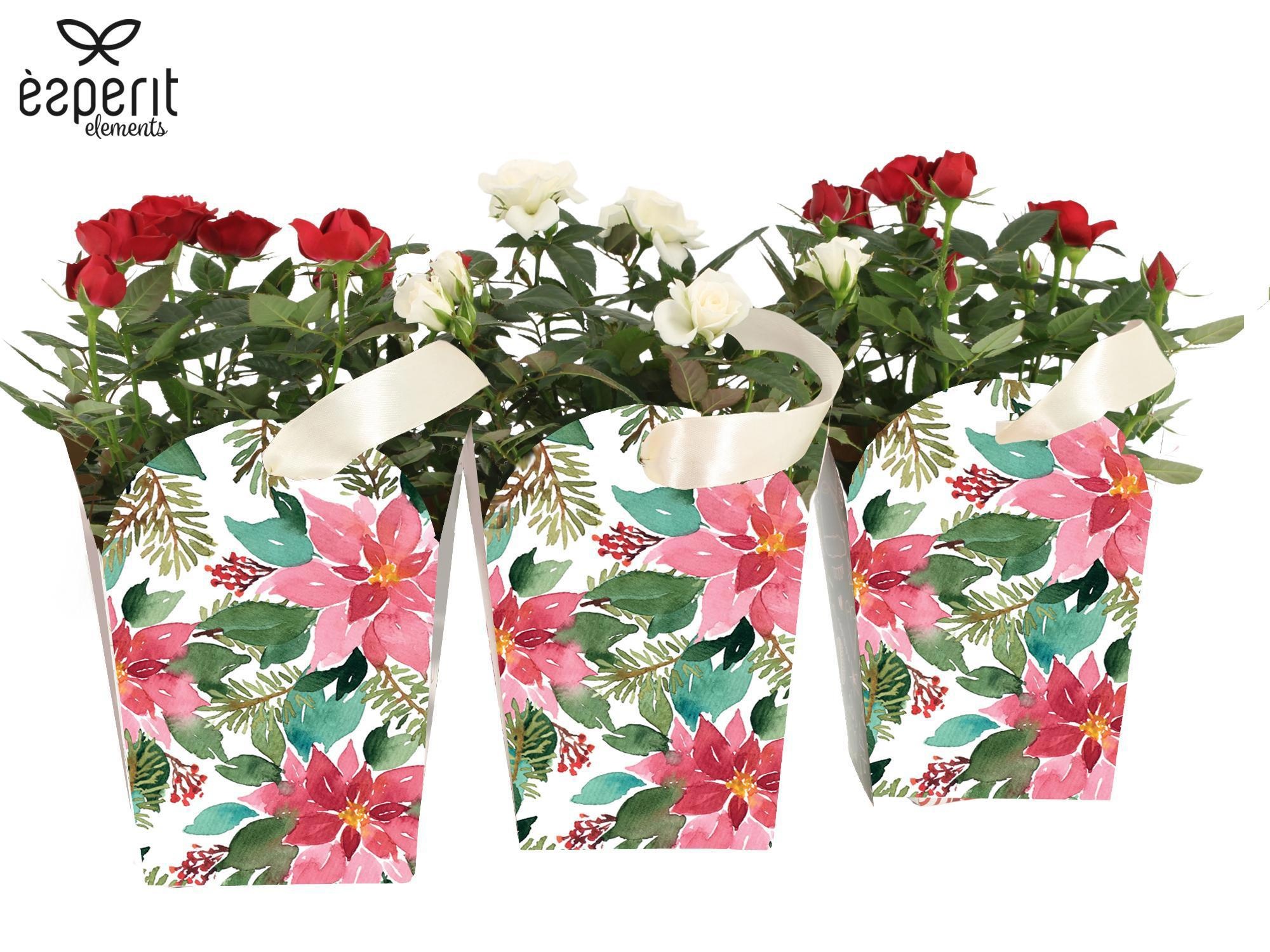 6501311: Solutionss X-mas, D 10,5