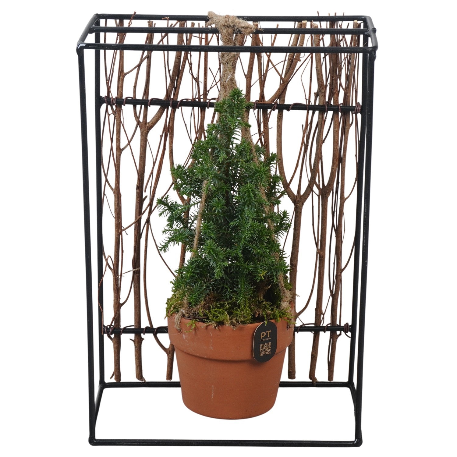 PTCWW7770 Arrangement Winter in metalen frame met terracotta pot, D 19