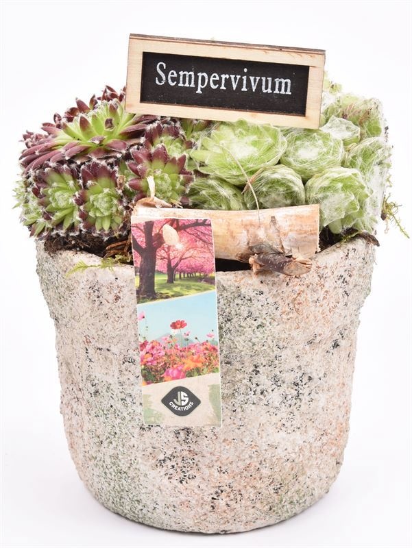 Cement pot grof 13cm, D 13