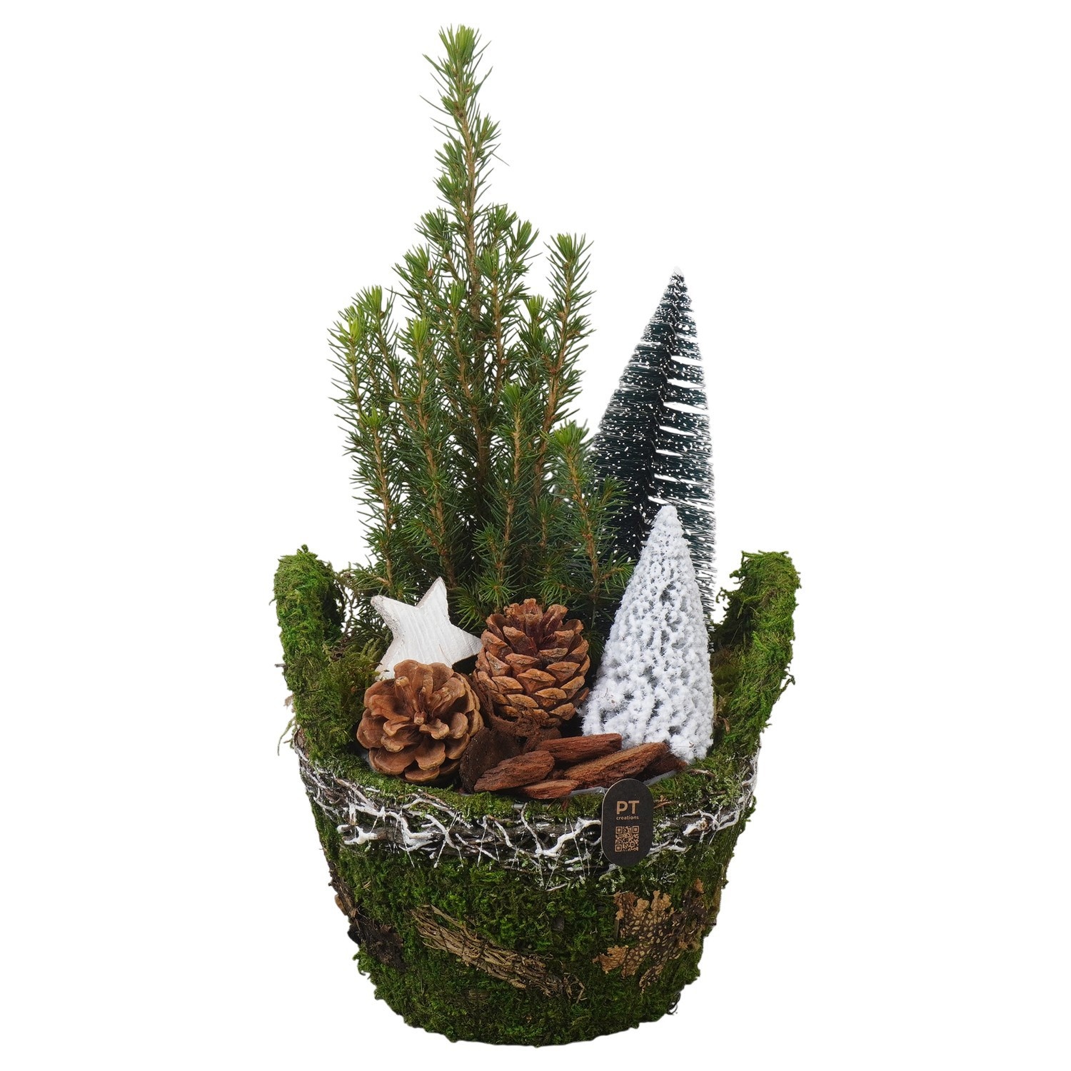 PTCWW7801 Arrangement Winter in mos mandje, D 16