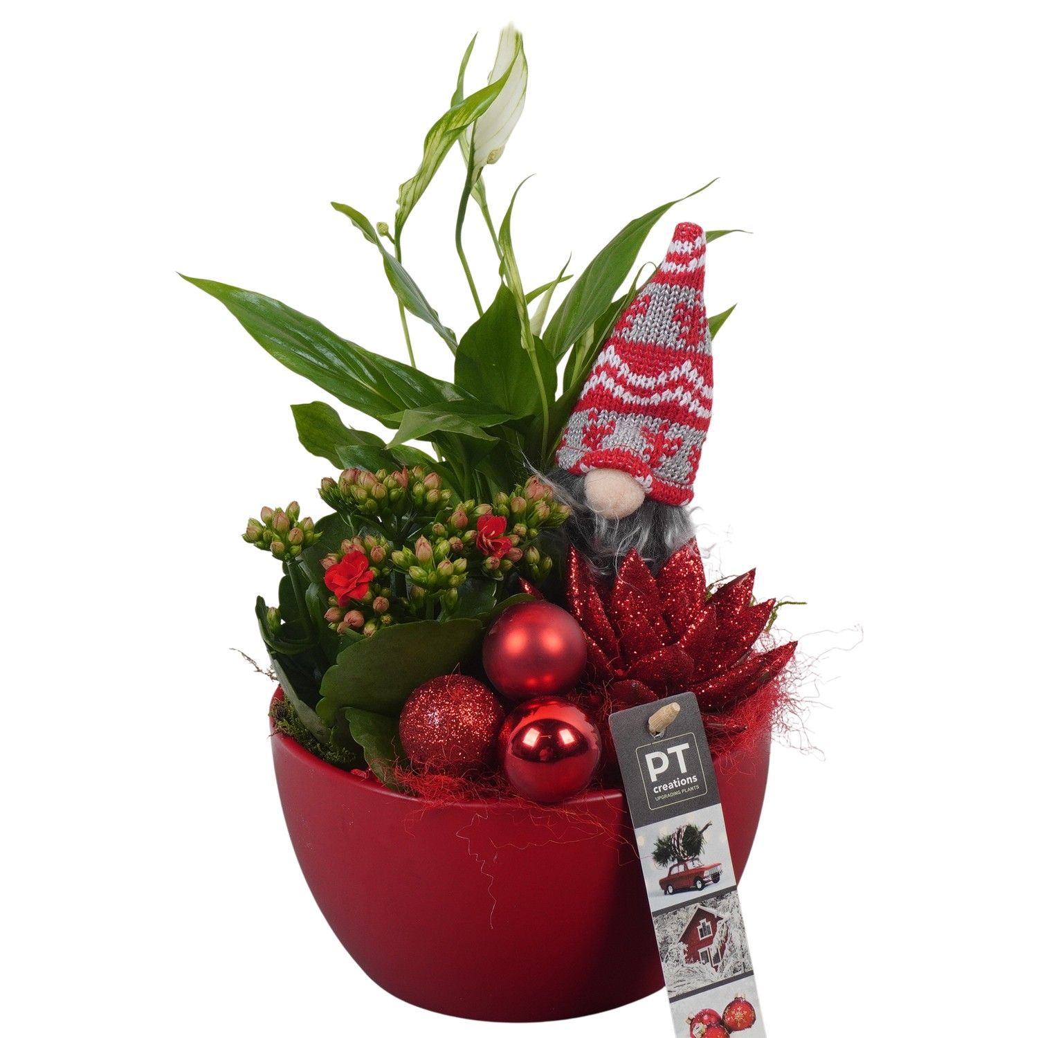 PTCHR7231 Arrangement Christmas Red in keramiek schaal, D 15 cm