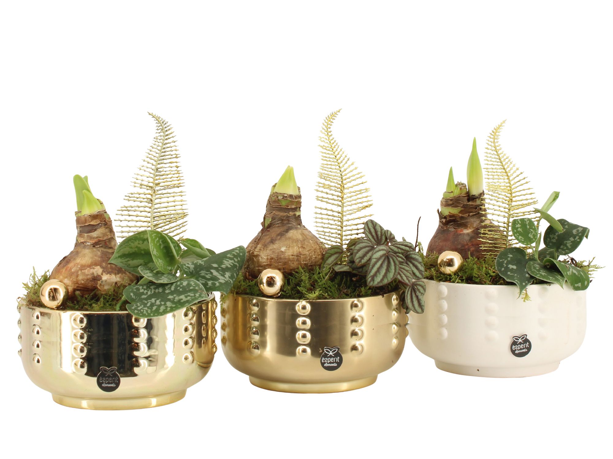 61887: X-mas arrangement, D 17