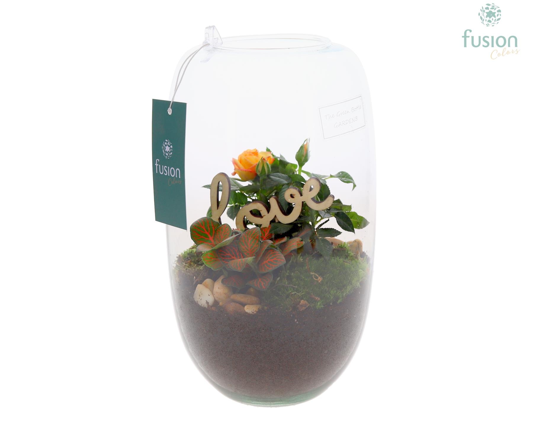 Green Bottle Isabella Medium Love met arrangement, D 15