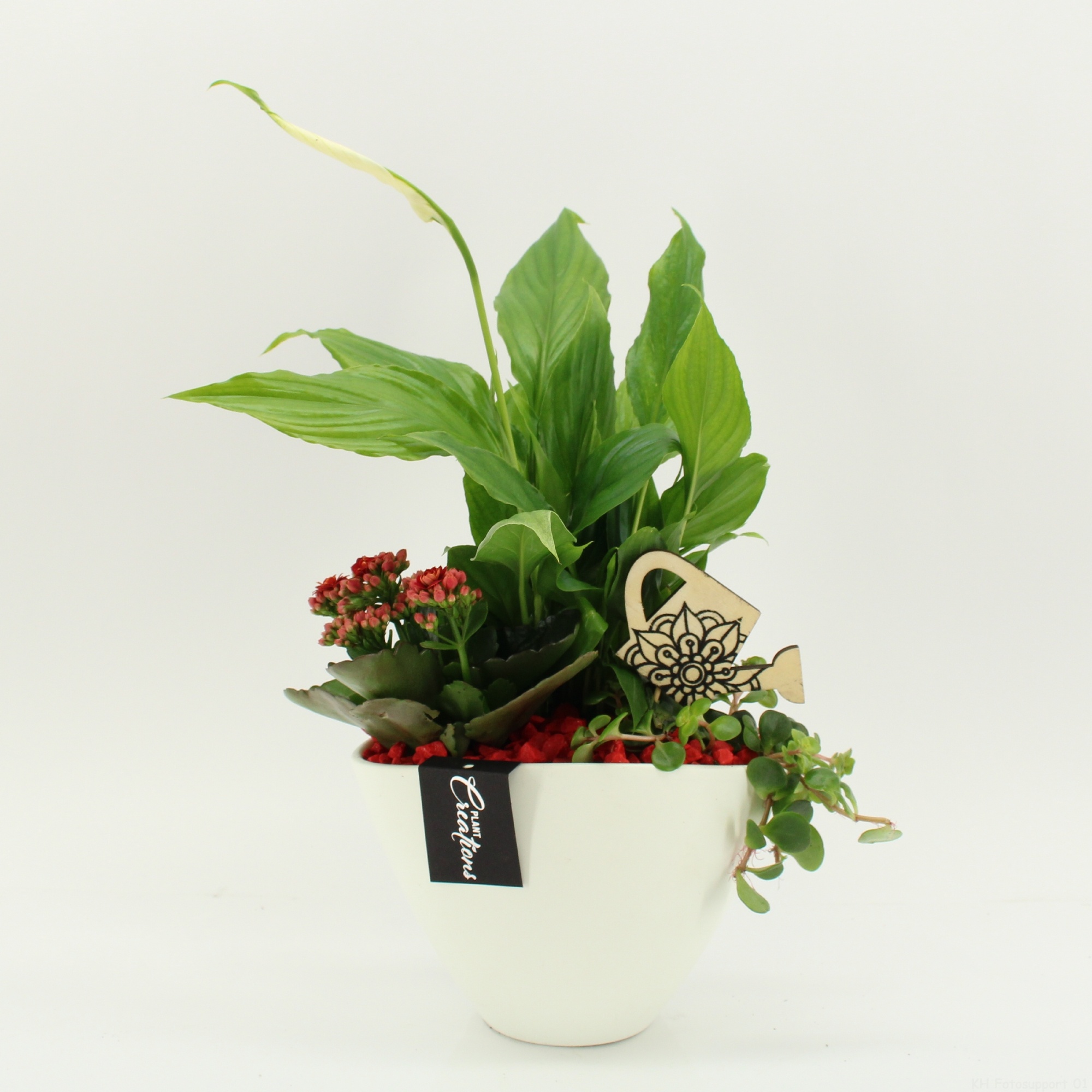 FDCR-2610R Basic Fundamentals, D 18