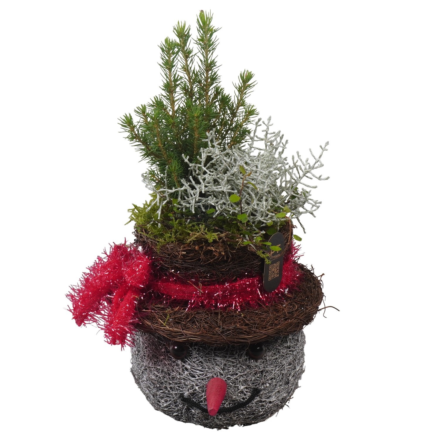 PTWO2830 Arrangement Winter Outdoor in rieten sneeuwpop pot, D 18