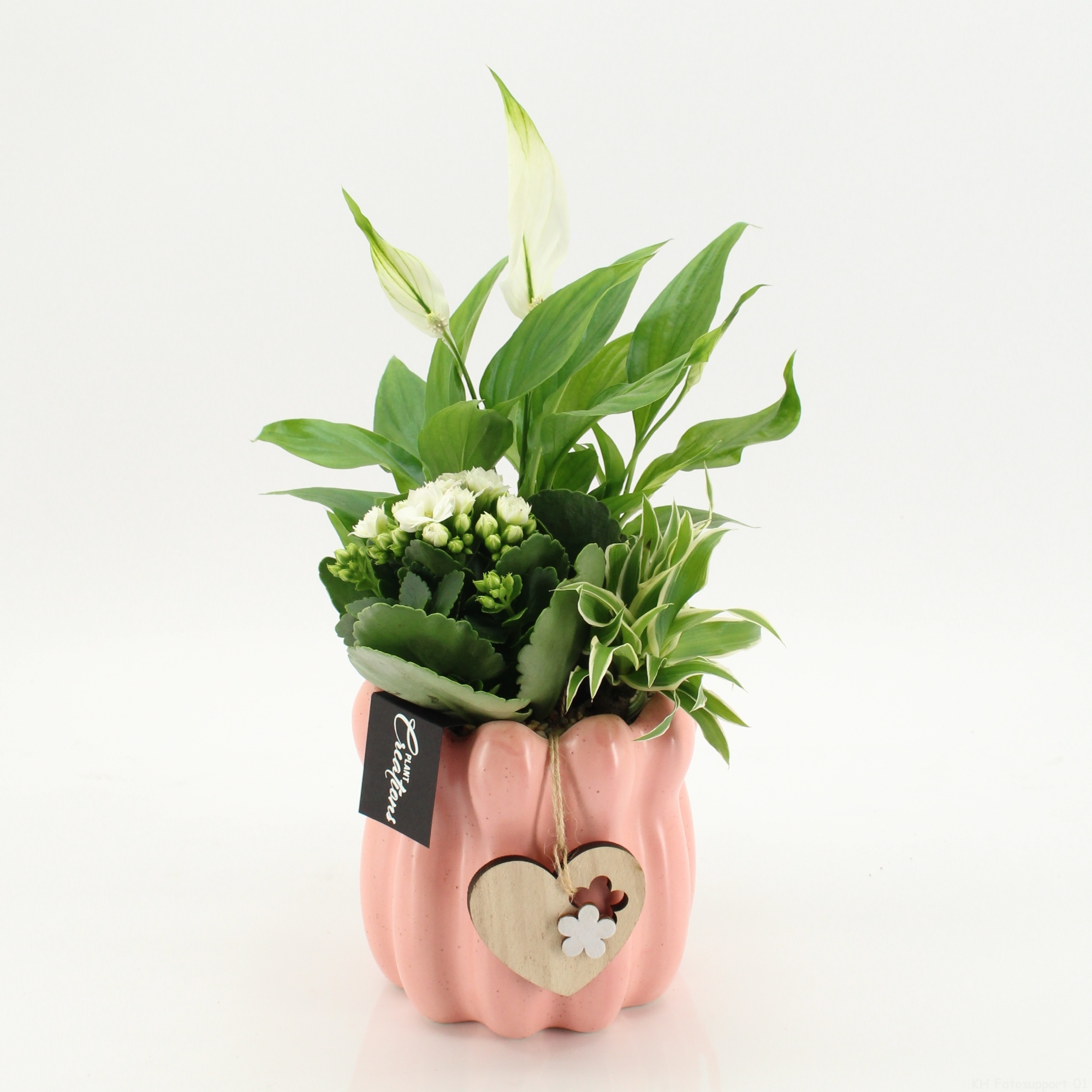 FRMD-2606W Bonne Fete Maman, D 14