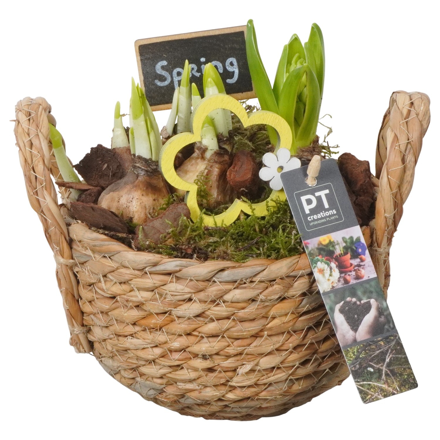 PTBM3811 Arrangement Flower Bulbs Mix in rieten mand, D 15