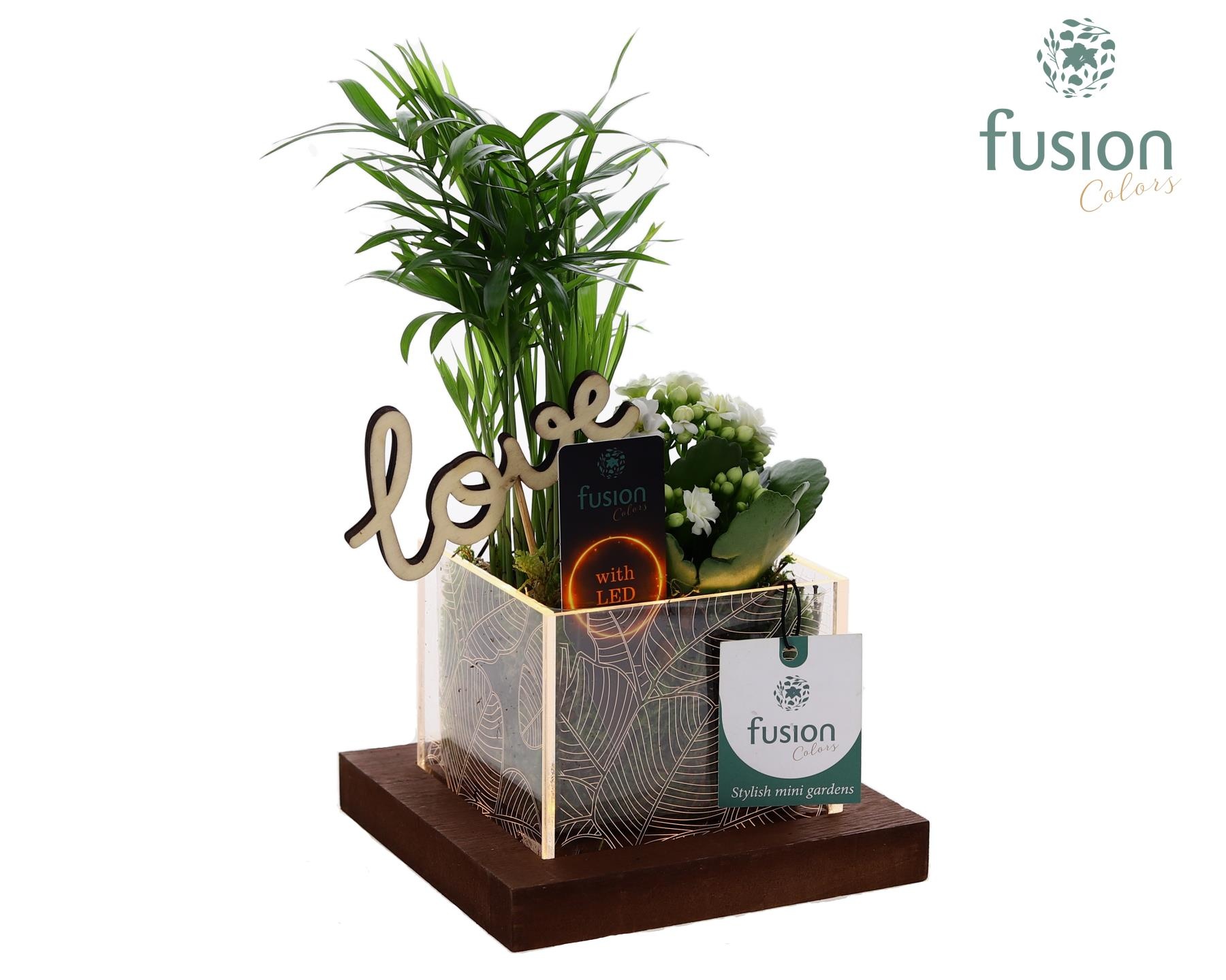 Acryl bakje LED met Arrangement Love, D 12