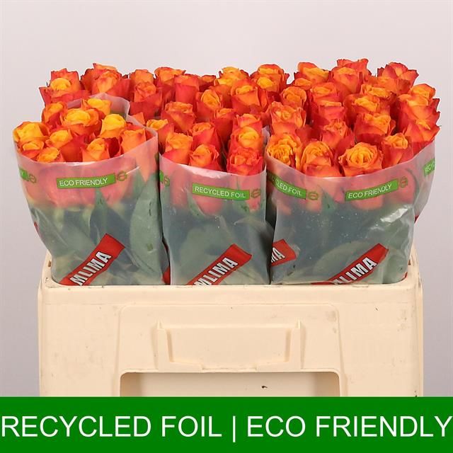 Роза од. Конфиденшиал 50, шт.