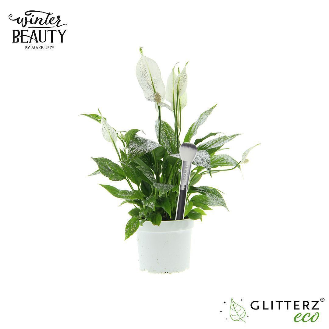 Spathiphyllum 13 cm Bellini Make Upz Zilveren Glitters, D 13