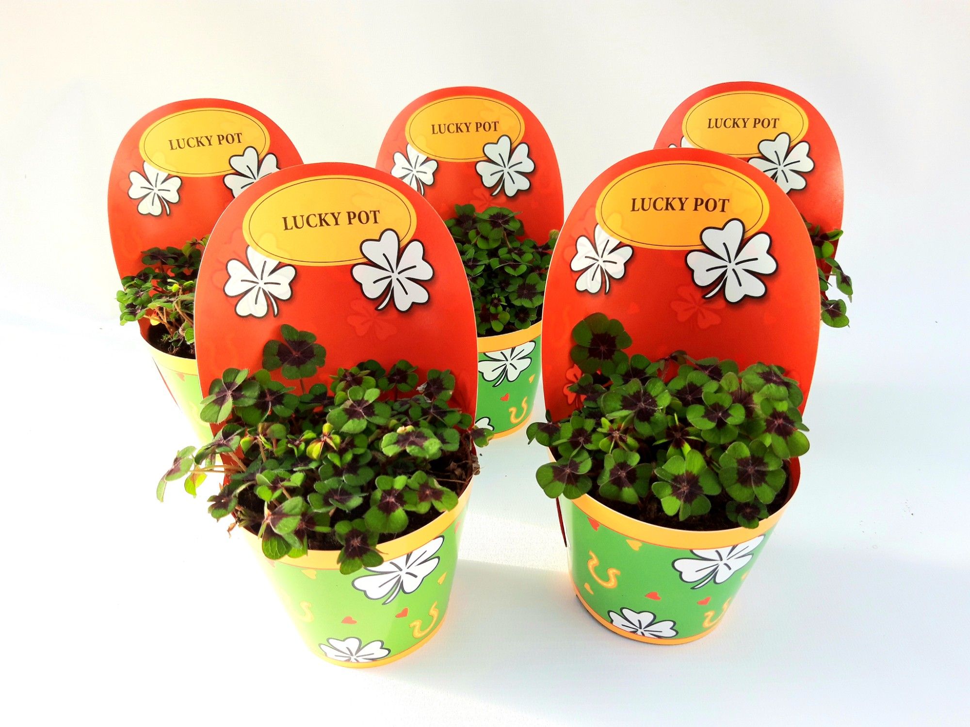 Gelukpotje Engels, D 9 cm