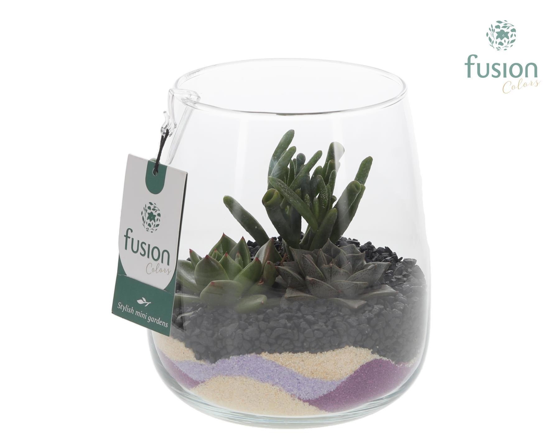 Glazen vaas Alzada met Succullenten arrangement, D 15