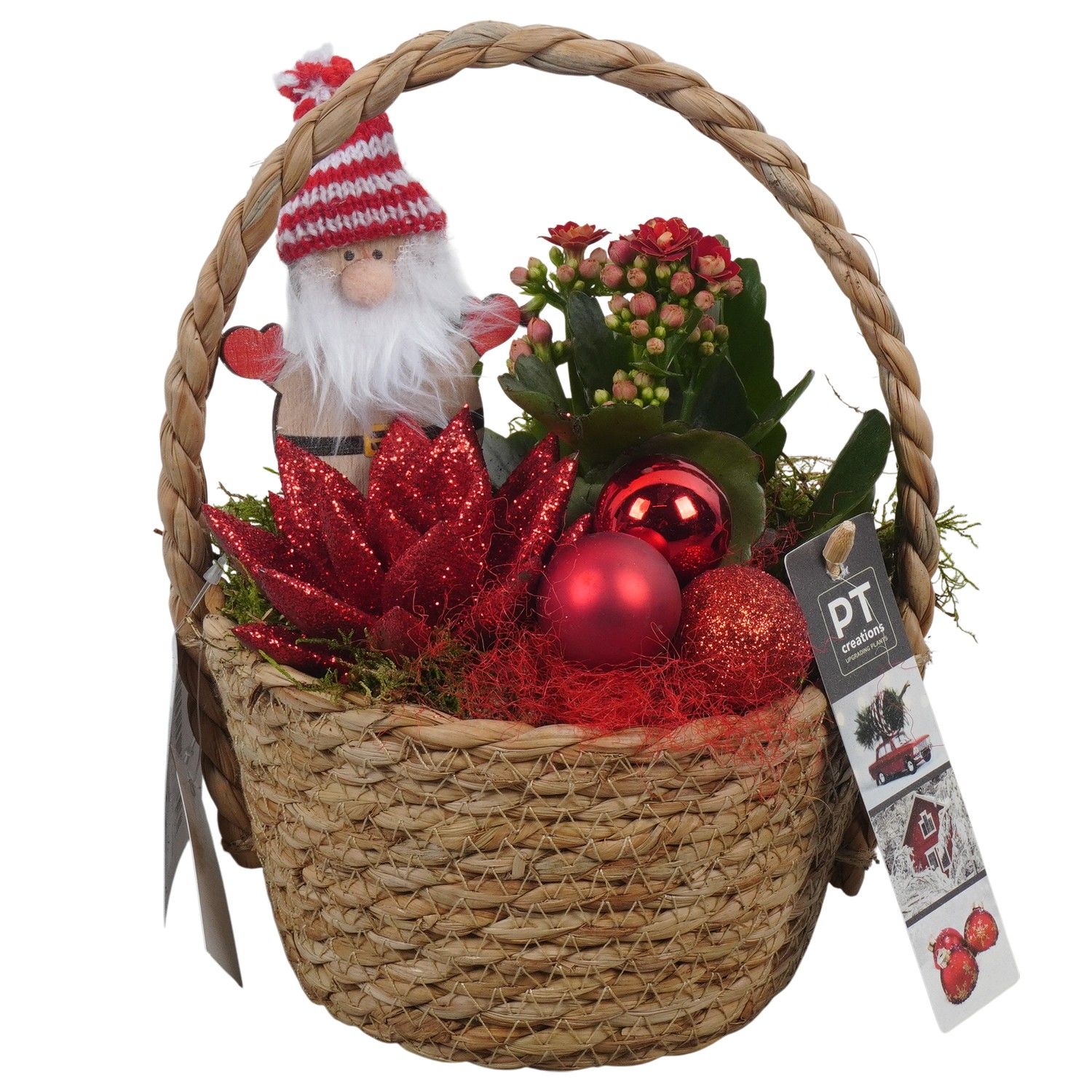 PTCHR7370 Arrangement Christmas Red in rieten mand, D 15 cm