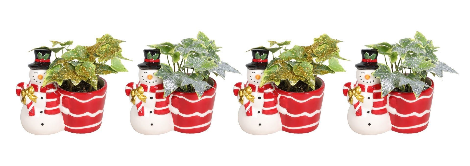 L 67461 With Hedera Helix Mix Glitter 6 cm, D 6 cm