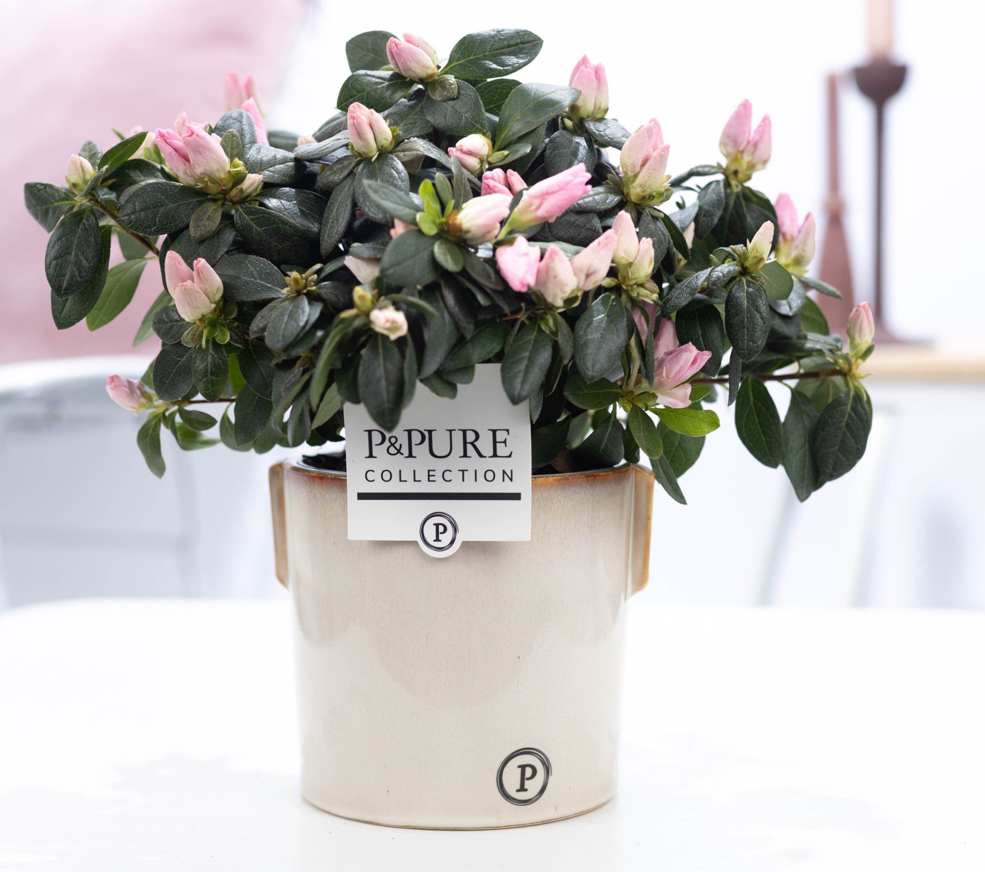 Azalea P&PURE Collection Lauren keramiek roze, D 12 cm