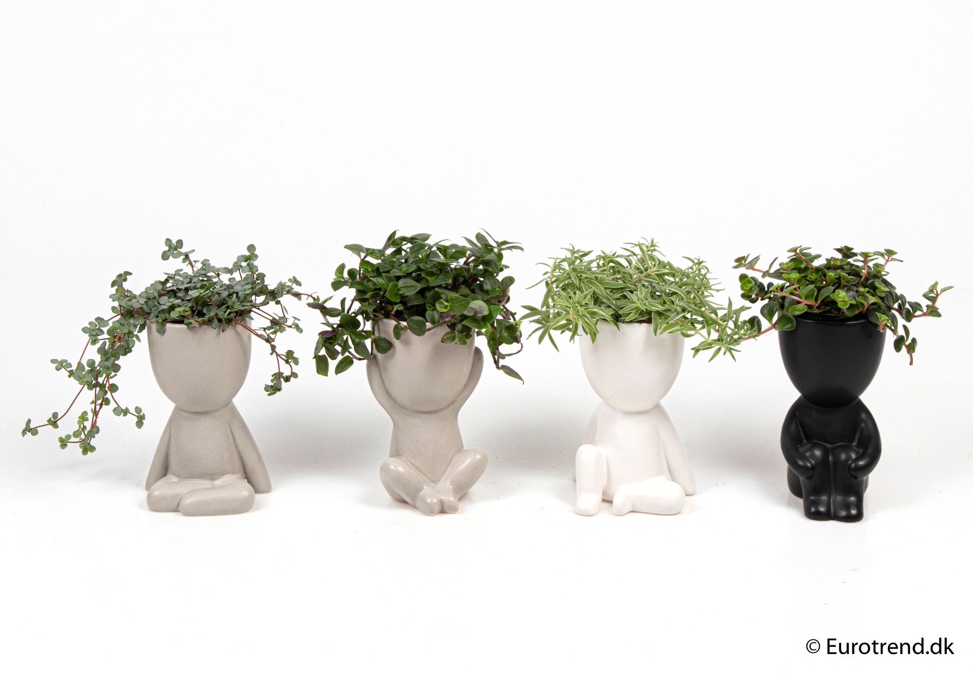 Green mix in ceramic - New Look 2025, D 6