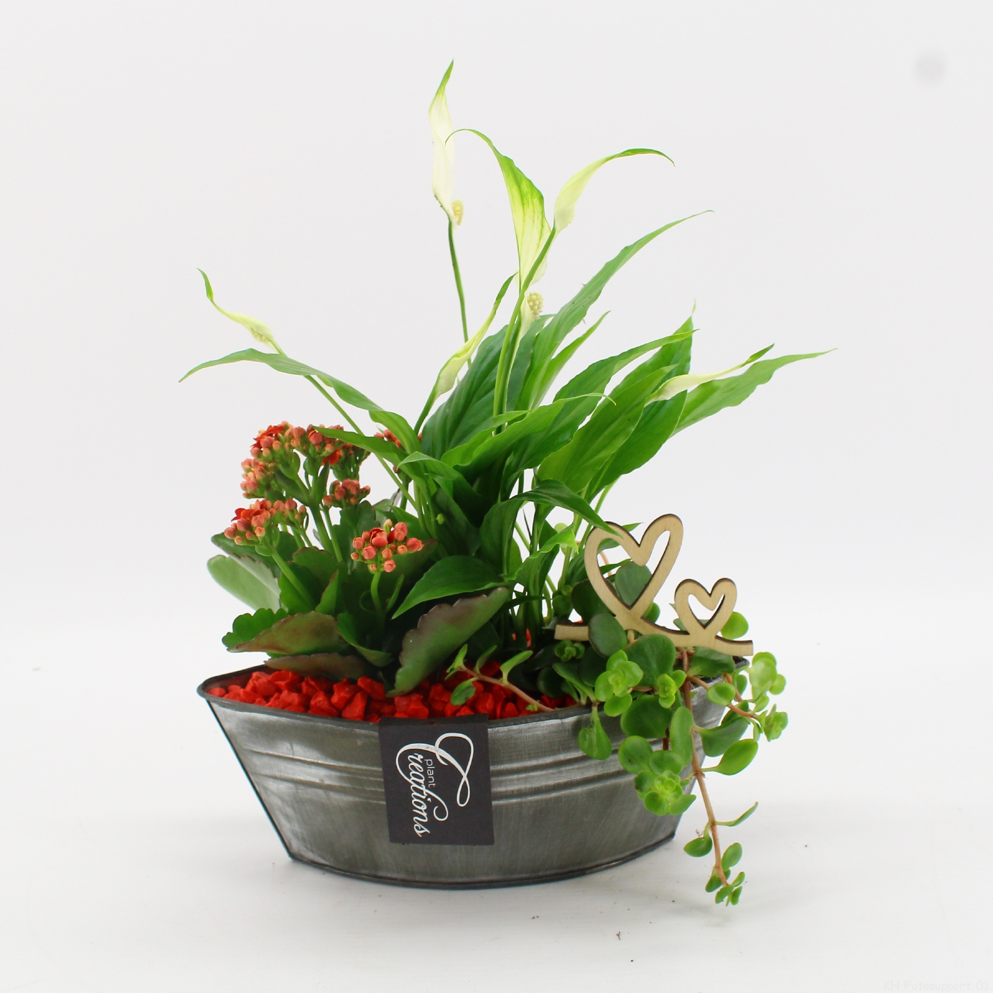 FDRM-2614R Romantic Fundamentals, D 22