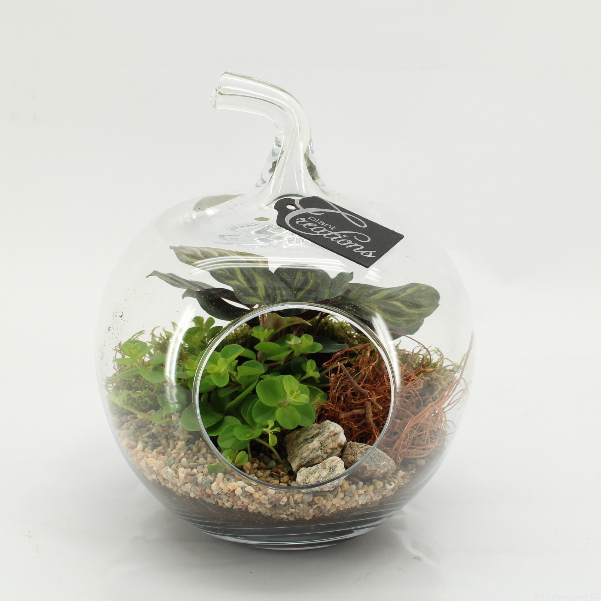 GRCR-2605 Green Essentials terrarium, D 20