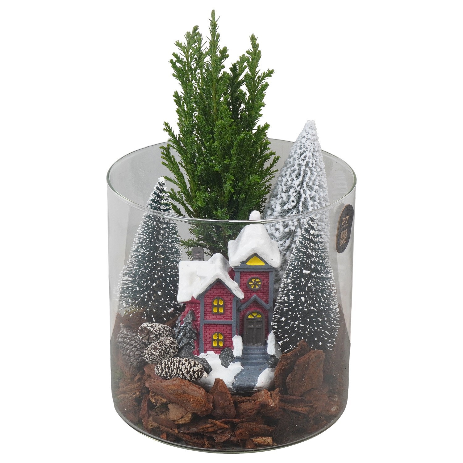 PTCWW7712 Arrangement Winter in glas cylinder, D 15